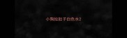小狗拉肚子白色水