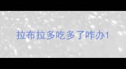 拉布拉多吃多了咋办