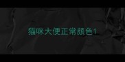 猫咪大便正常颜色