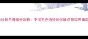 边牧颜色选择全攻略不同毛色边牧的优缺点与饲养指南