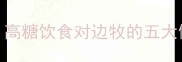边境牧羊犬能不能吃糖高糖饮食对边牧的五大健康隐患及科学喂养指南
