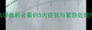 巧克力中毒狗狗误食后必看的5大症状与紧急处理指南宠物急救全攻略