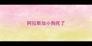 阿拉斯加小狗死了