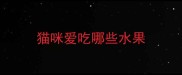 猫咪爱吃哪些水果