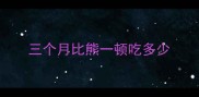 三个月比熊一顿吃多少