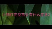 小狗打完疫苗会有什么症状