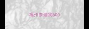 福州泰迪狗600