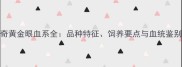 哈士奇黄金眼血系全品种特征饲养要点与血统鉴别指南