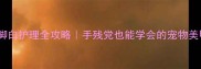黄拉脚白护理全攻略手残党也能学会的宠物美甲教程