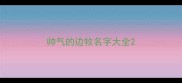 帅气的边牧名字大全