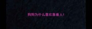 狗狗为什么喜欢靠着人