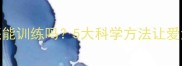 泰迪犬成年后还能训练吗5大科学方法让爱犬秒变模范公民