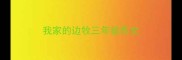 我家的边牧三年级作文