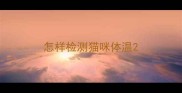 怎样检测猫咪体温