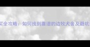 边牧购买全攻略如何找到靠谱的边牧犬舍及避坑指南