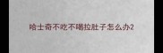 哈士奇不吃不喝拉肚子怎么办