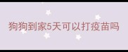 狗狗到家5天可以打疫苗吗