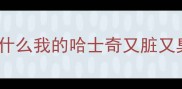 为什么我的哈士奇又脏又臭