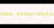 泰迪犬饲养指南最受欢迎的10种玩具及训练建议
