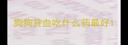 狗狗贫血吃什么药最好
