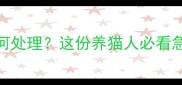被宠物猫抓伤后如何处理这份养猫人必看急救指南全网最全