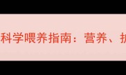 两个月大的泰迪犬科学喂养指南营养护理与疾病预防全