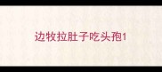 边牧拉肚子吃头孢