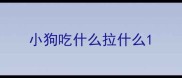 小狗吃什么拉什么