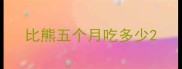 比熊五个月吃多少