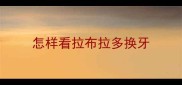 怎样看拉布拉多换牙
