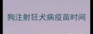 狗注射狂犬病疫苗时间