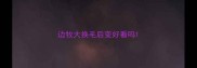 边牧大换毛后变好看吗