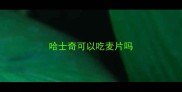 哈士奇可以吃麦片吗