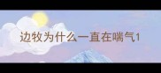 边牧为什么一直在喘气