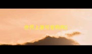 世界上最可爱狗狗