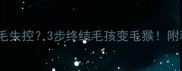 哈士奇夏天掉毛失控3步终结毛孩变毛猴附科学护理全攻略
