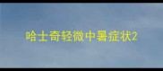 哈士奇轻微中暑症状