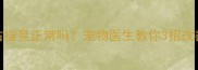 幼犬走路左右摇晃正常吗宠物医生教你3招改善小摇晃习惯