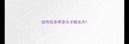 拉布拉多养多久才能长大