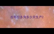 拉布拉多狗多少天生产