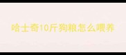 哈士奇10斤狗粮怎么喂养