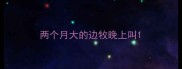 两个月大的边牧晚上叫