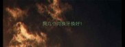 狗几个月换牙换好