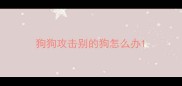 狗狗攻击别的狗怎么办