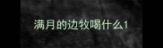 满月的边牧喝什么
