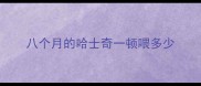 八个月的哈士奇一顿喂多少