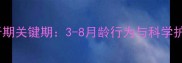 边牧磨牙期关键期3-8月龄行为与科学护理指南