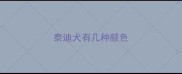 泰迪犬有几种颜色