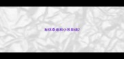 标体泰迪和小体泰迪