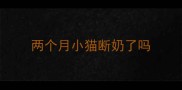 两个月小猫断奶了吗